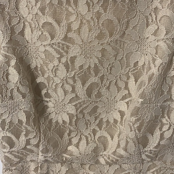 Beige Lace Le Château MidLength Dress - Picture 2 of 5